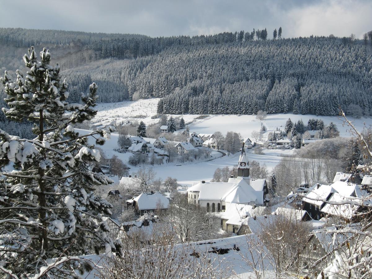 Ferienwohnung Haus Sonnenhügel Winterberg Exterior foto